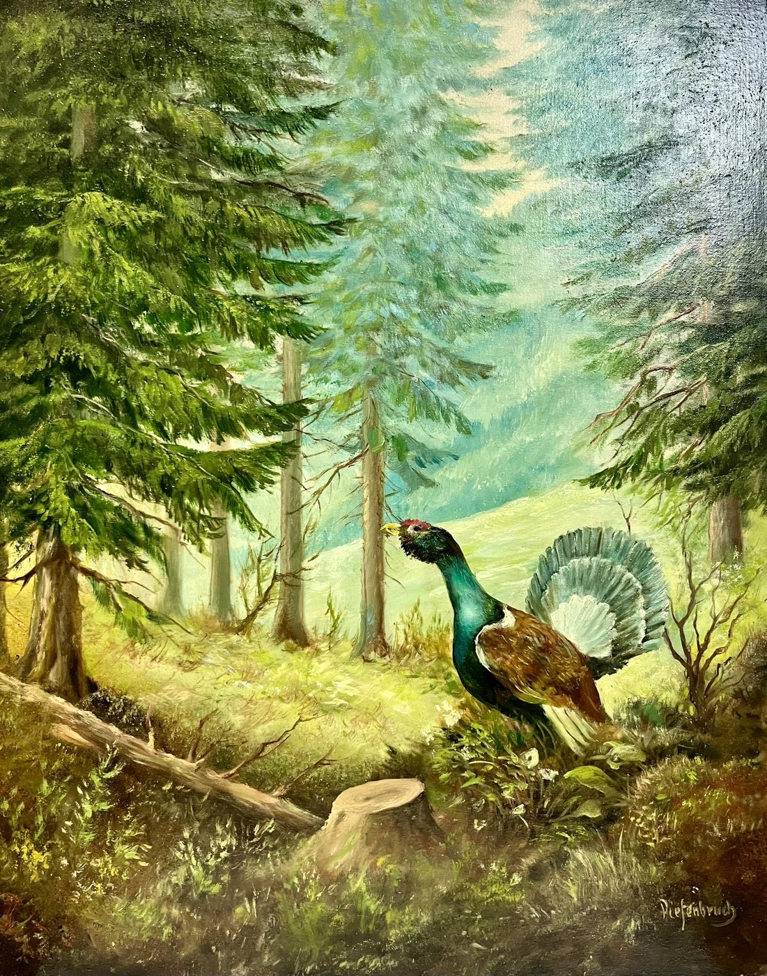 Wildvogel von Diefenbruch Wildvogel von Diefenbruch