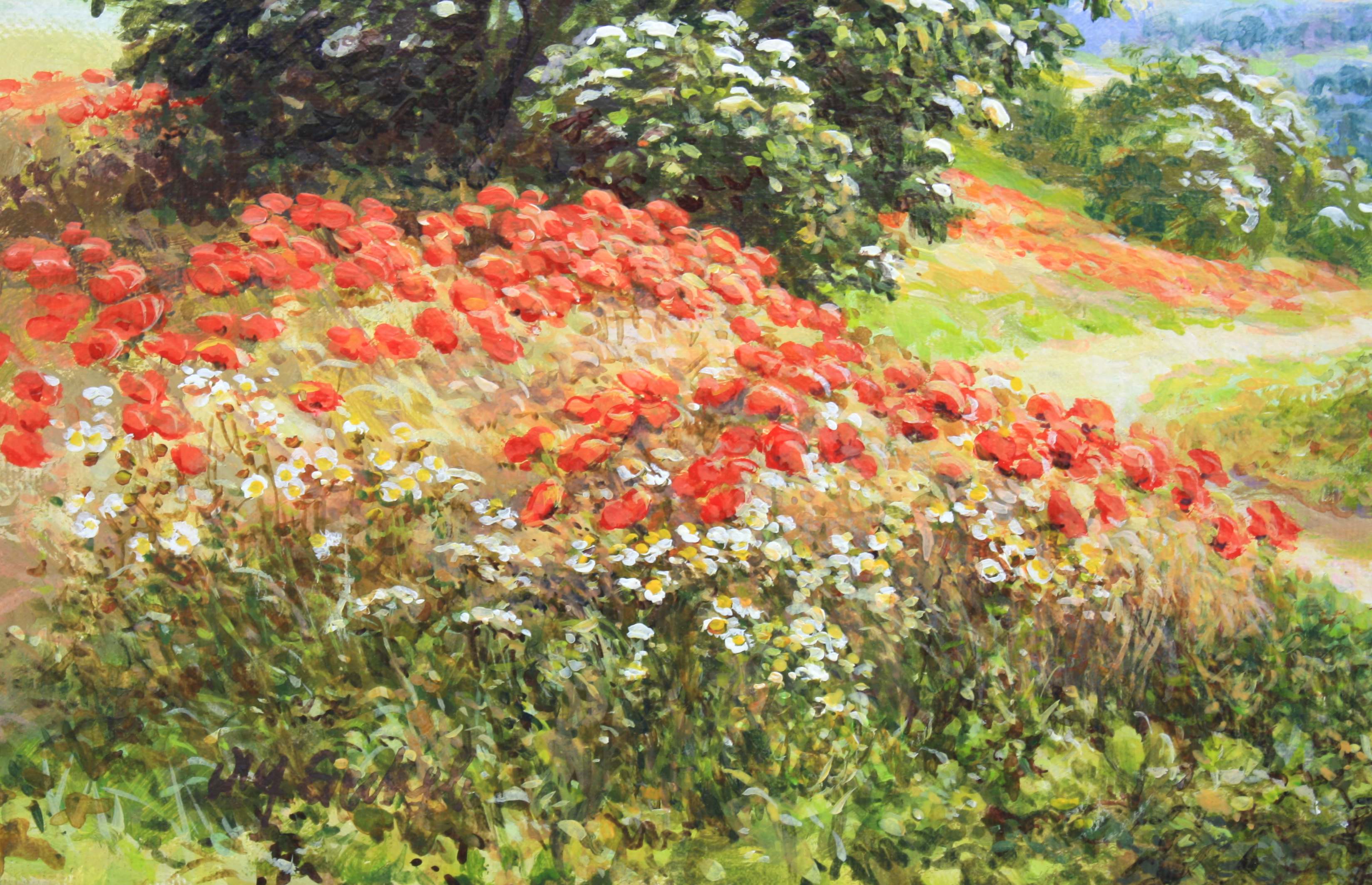 Mohnfelder-30-x-40_03