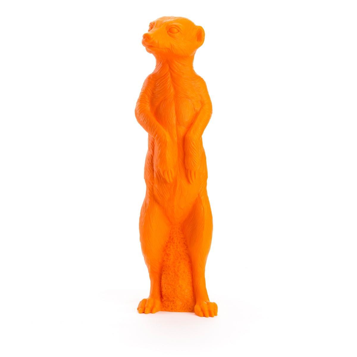 erd-orang5c75346a8169e Erdmännchen - orange