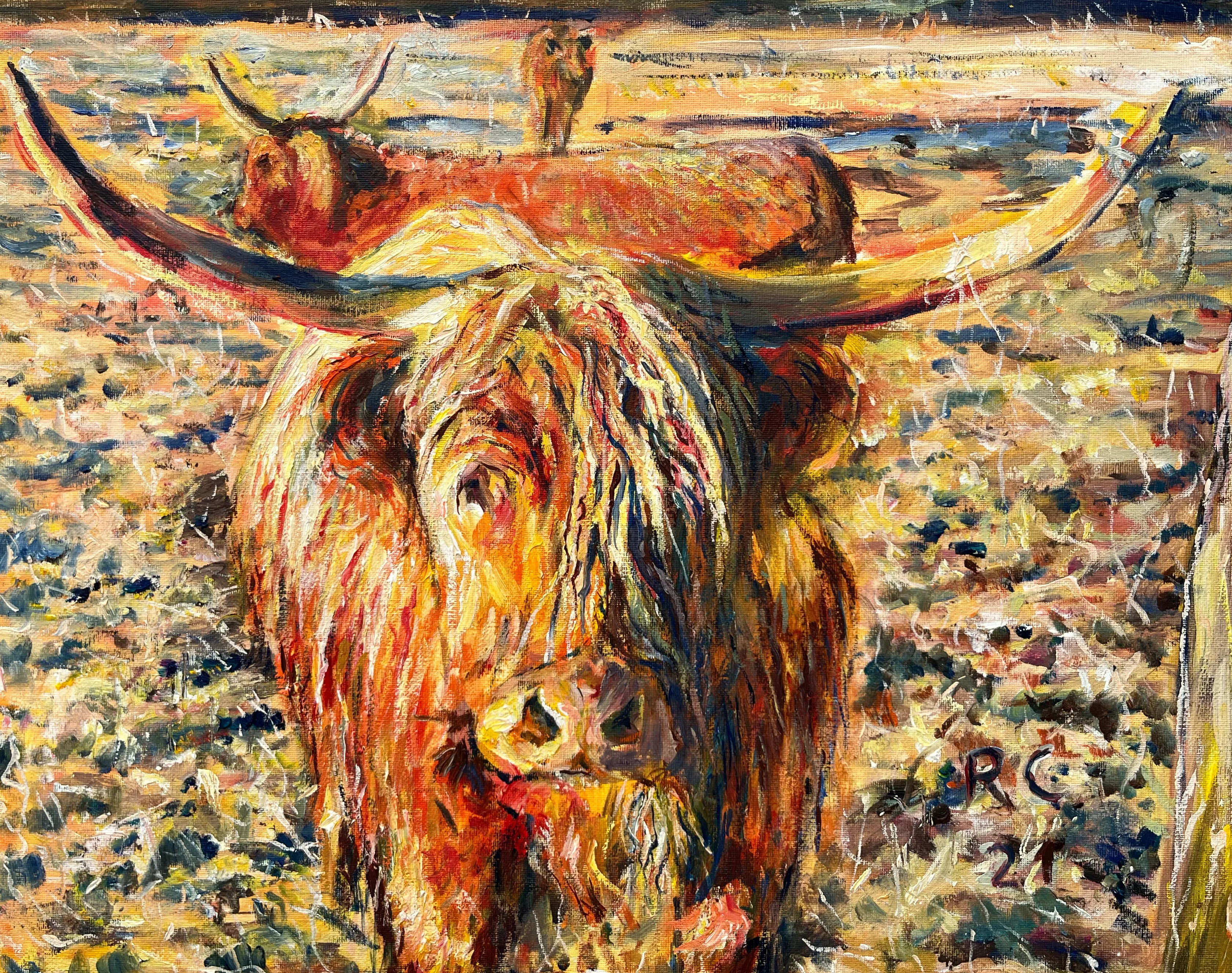 "Highland Rinder" von Dr. Conze
