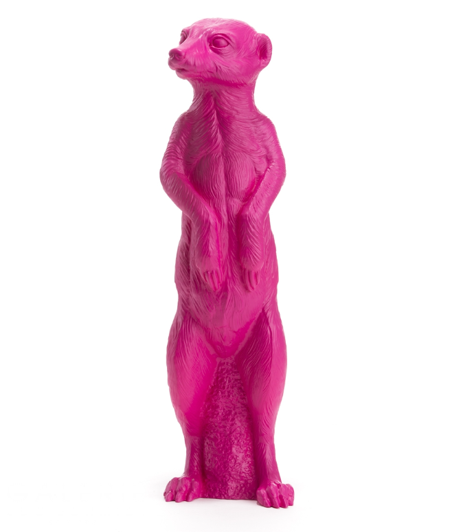 2020-06-19-55eec8b612f980 Erdmännchen pink