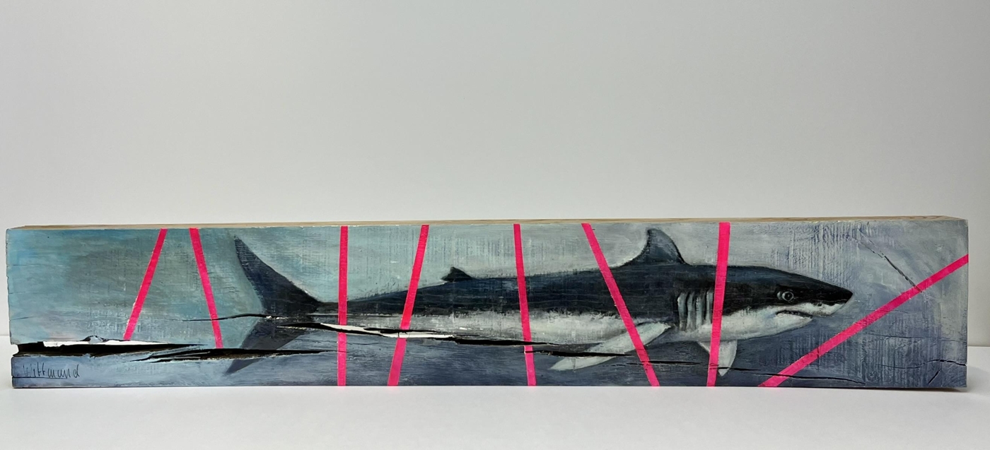 "Hai" von Petra Wittmund "Hai" von Petra Wittmund