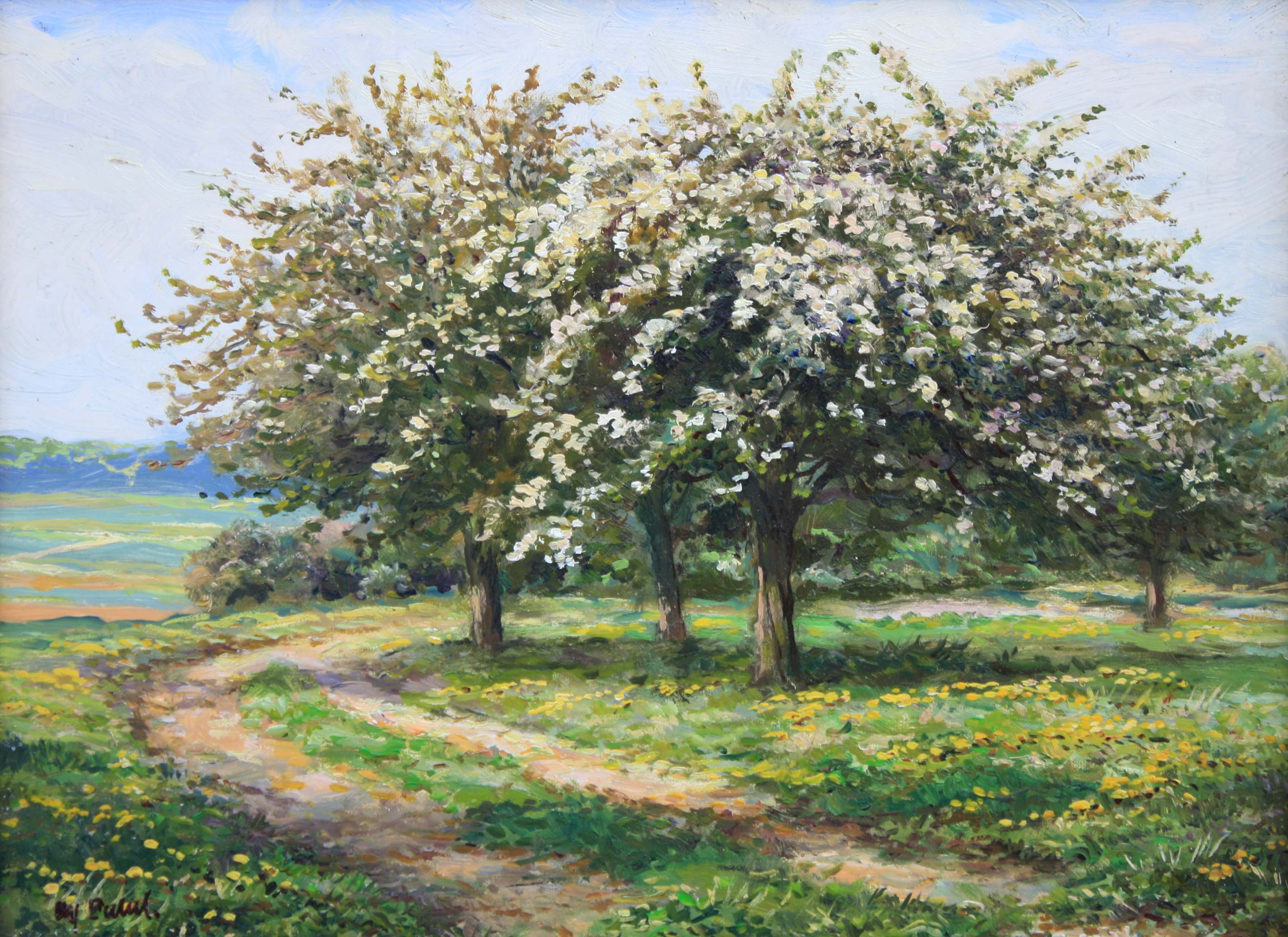 Obstblüte
