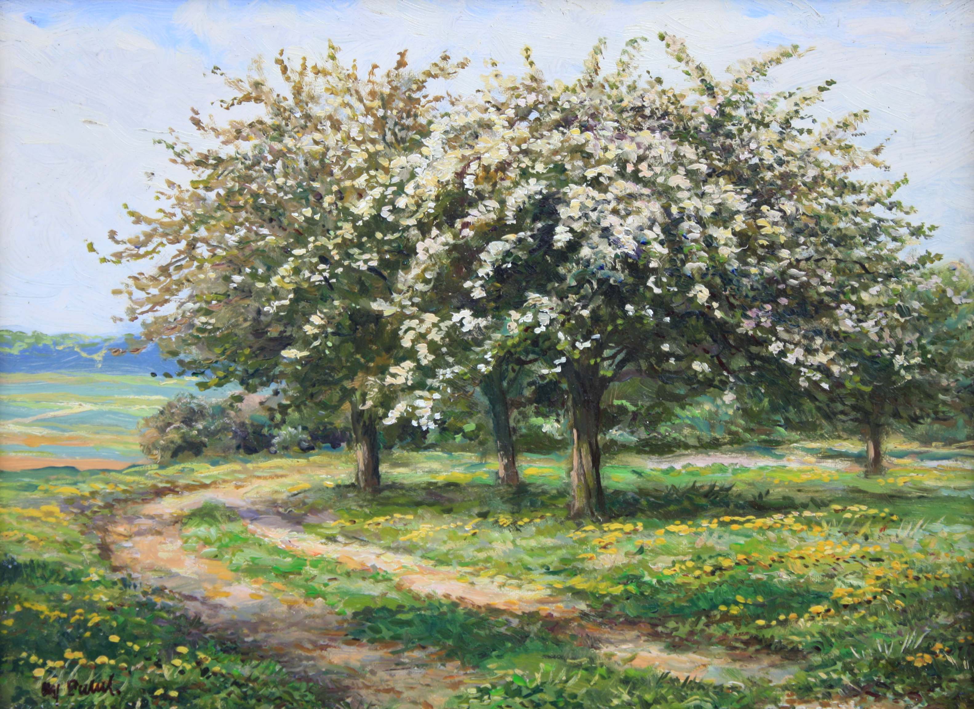 Obstblüte