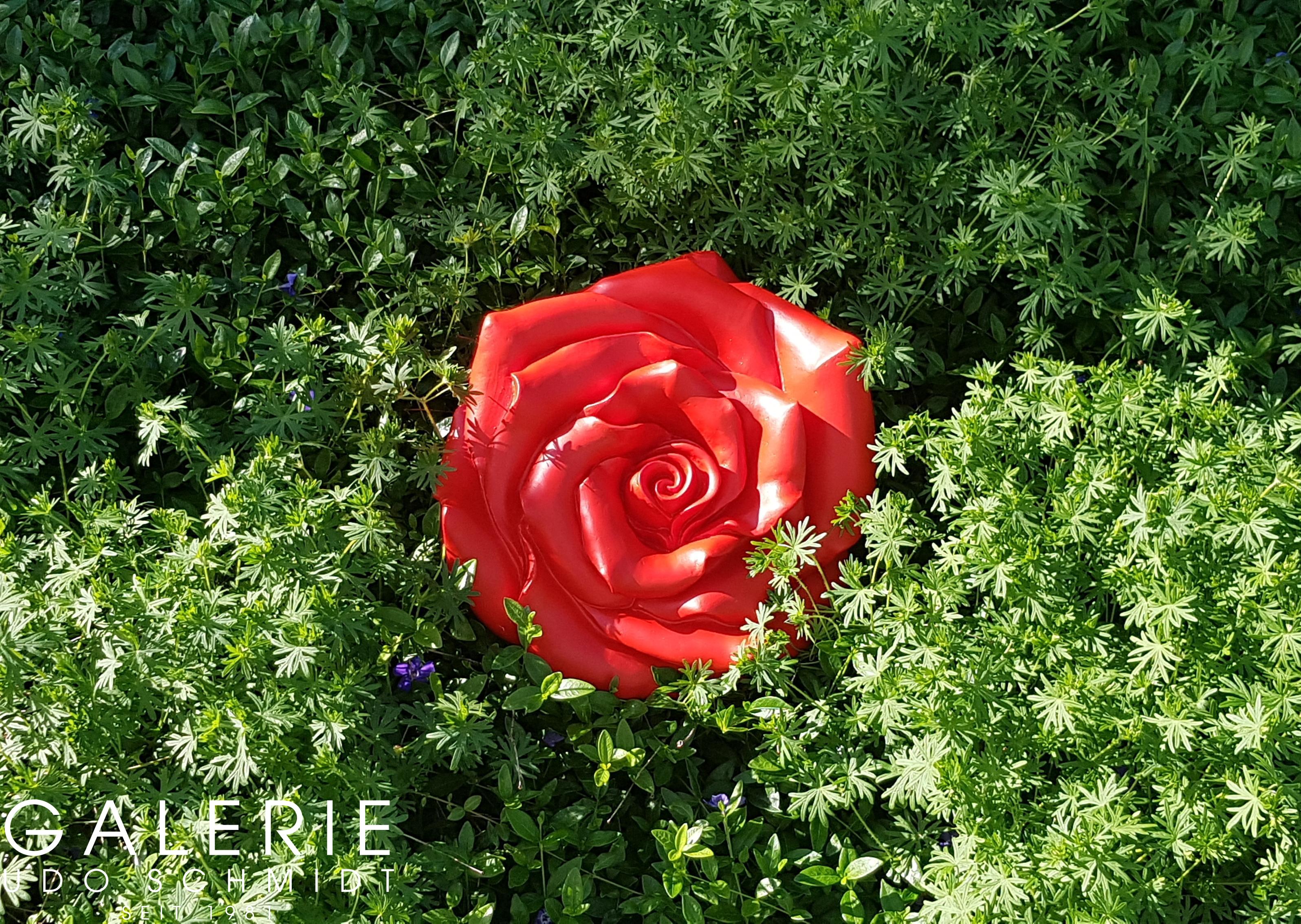 Rosen-garten5ece5bcb4ceee Hörl Rose