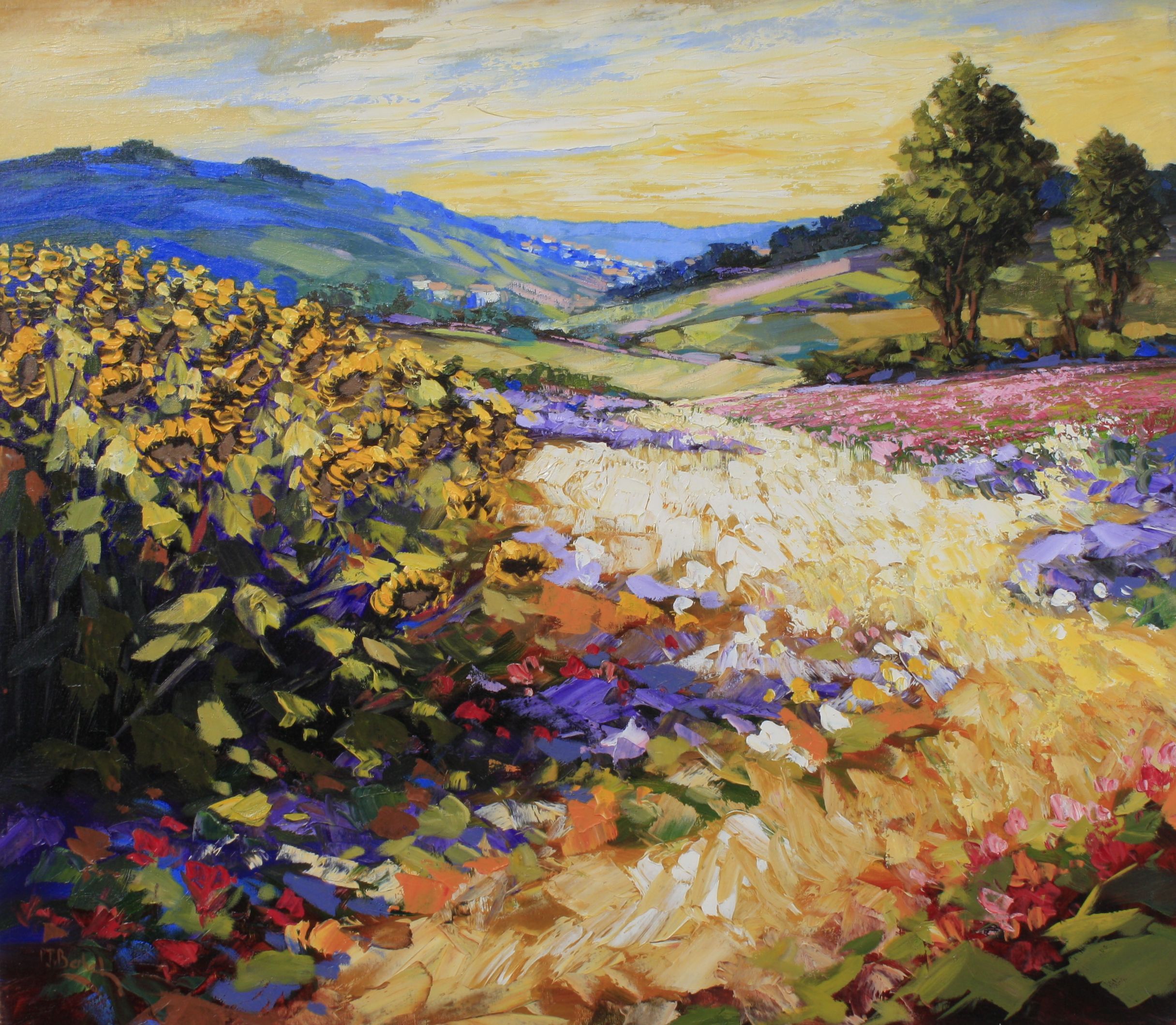 SHOP_065 Sonnenblumenfeld