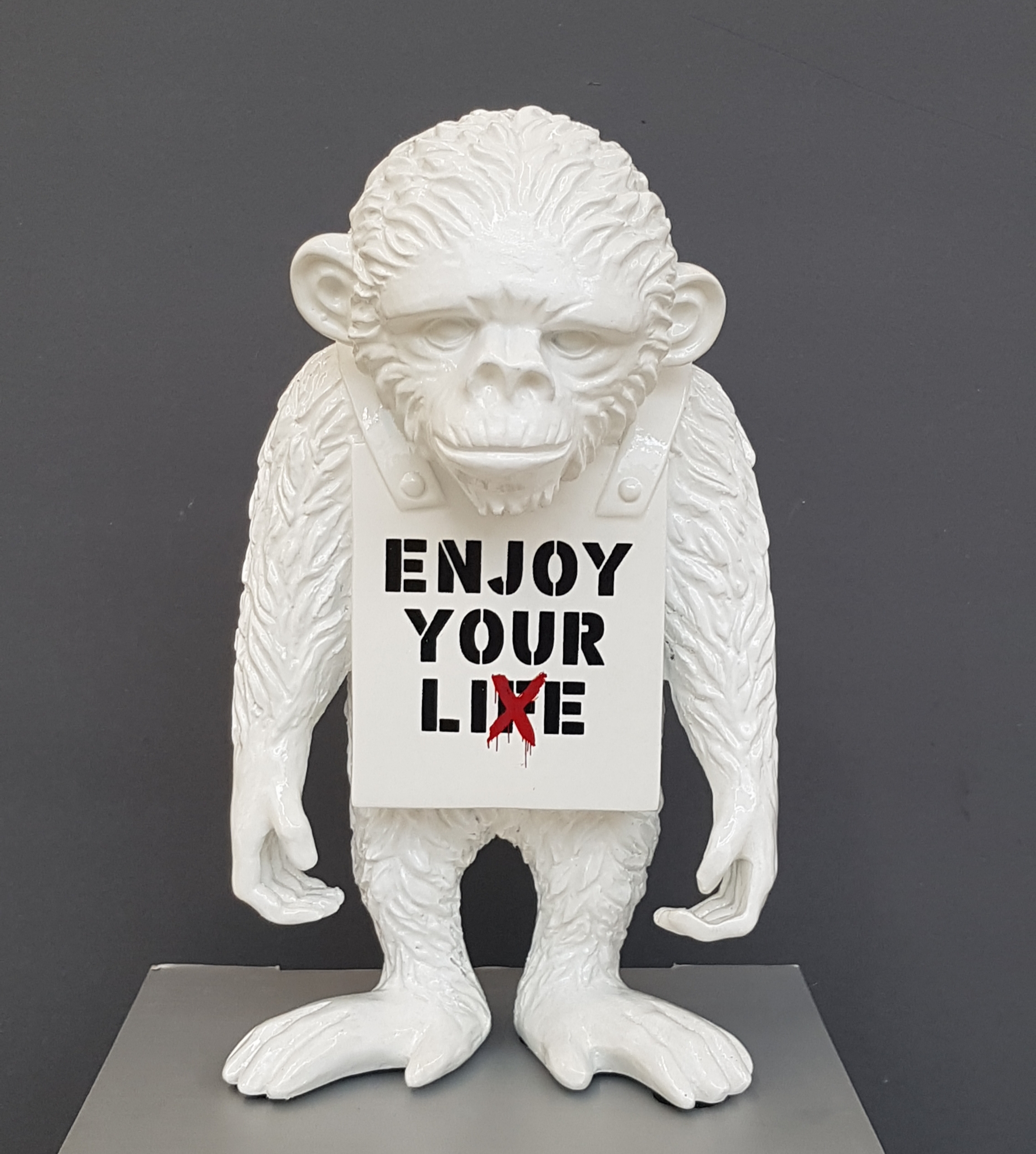 20201202_134035 Street Monkey - Enjoy your Lie