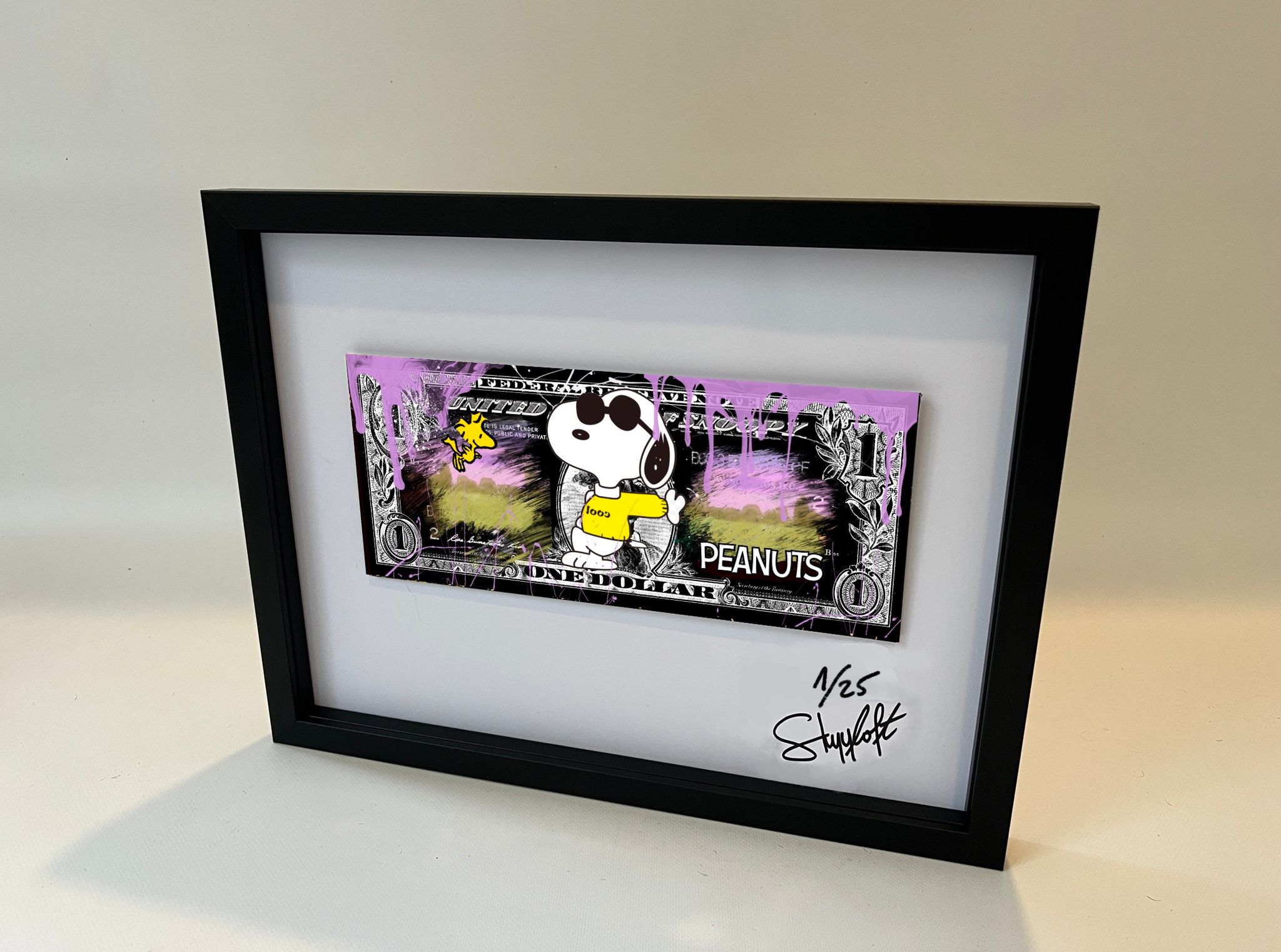 SKYYLOFT: Snoopy Dollar mit Rahmen 