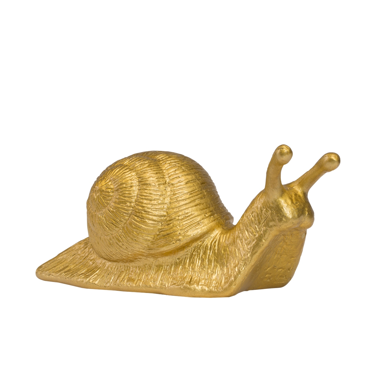 Avantgarde-Schnecke
