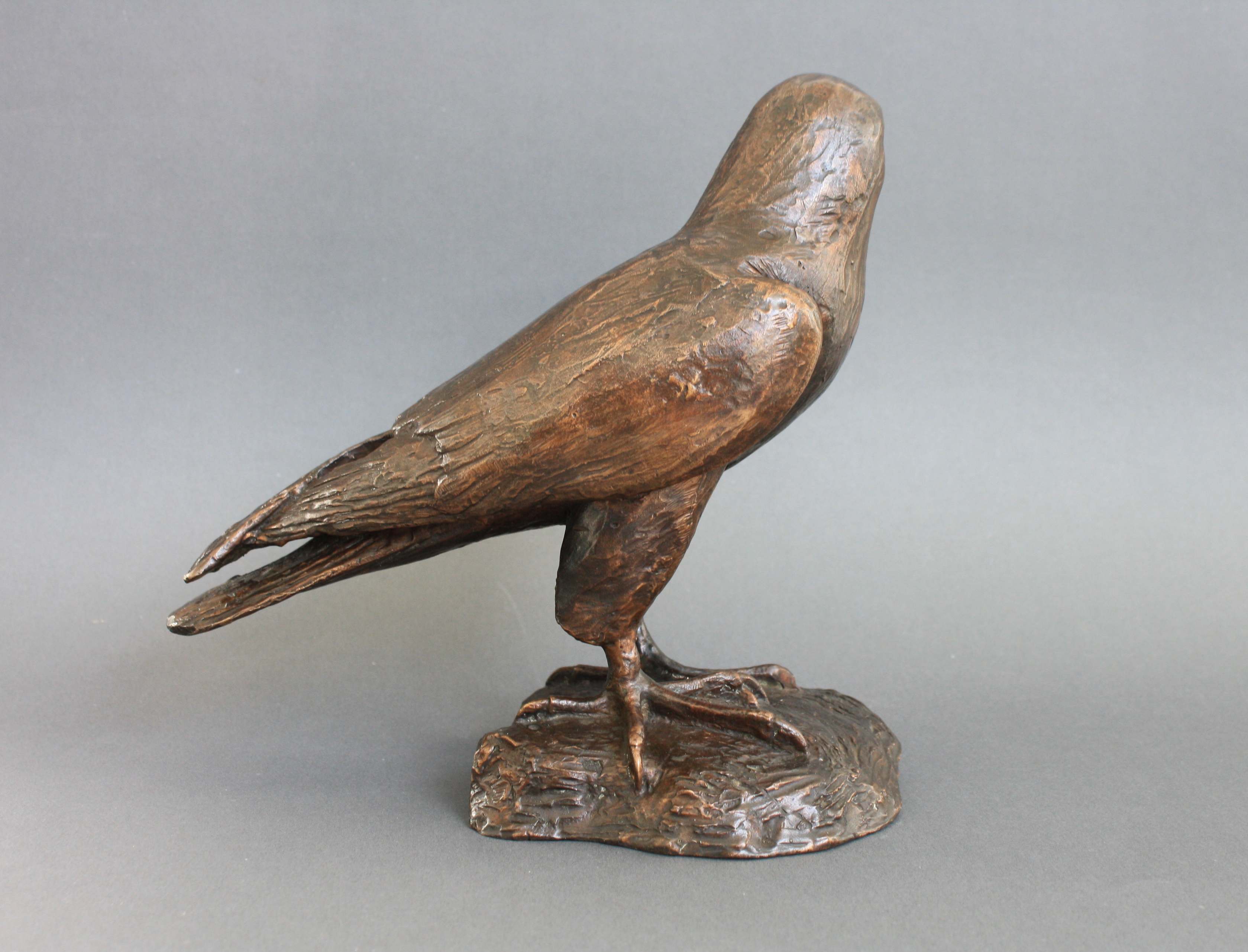 Falke-ausgearbeitet_04 Falke