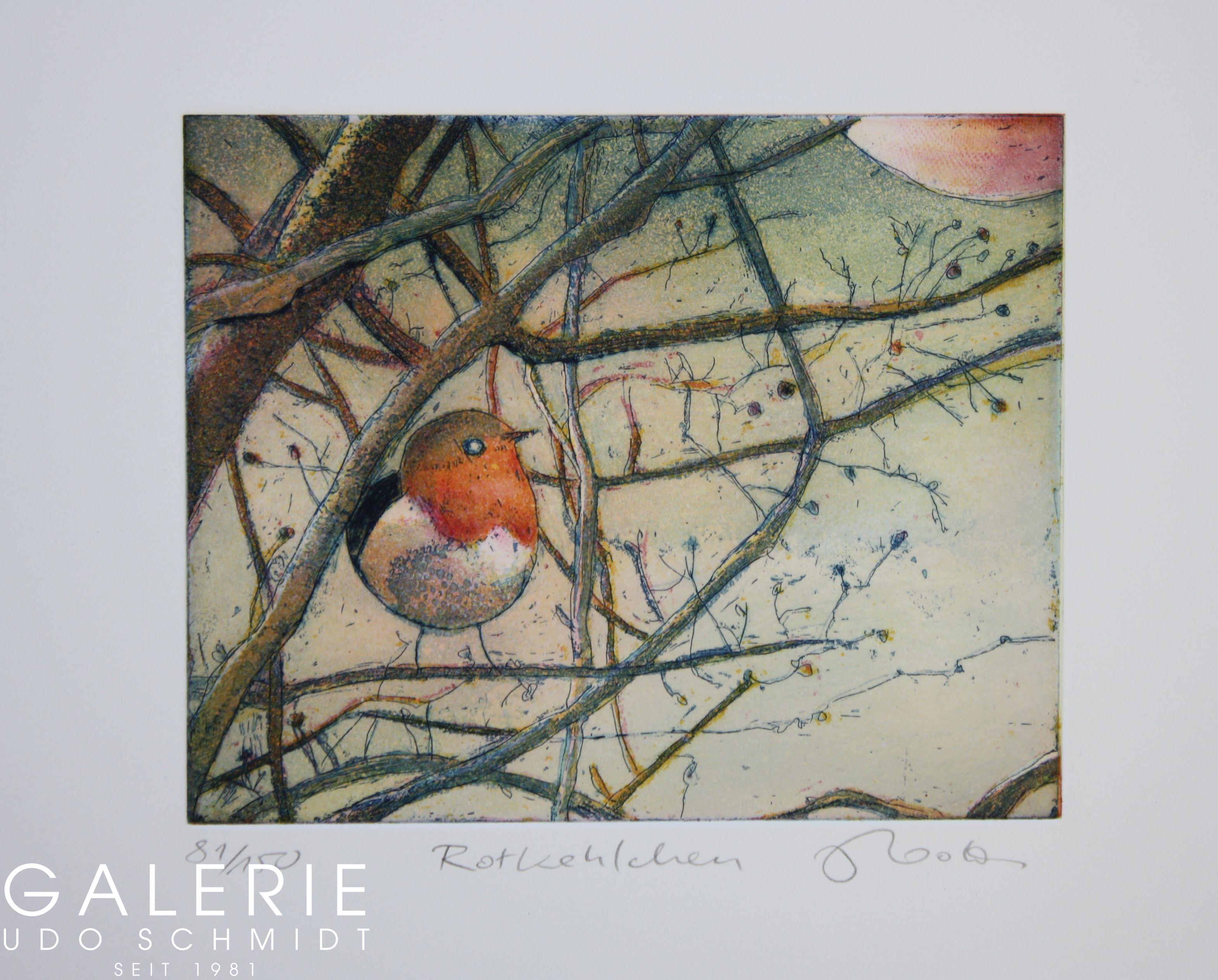 Rotchelchen-2018_025bb8921a23782 Frühlingsbesucher