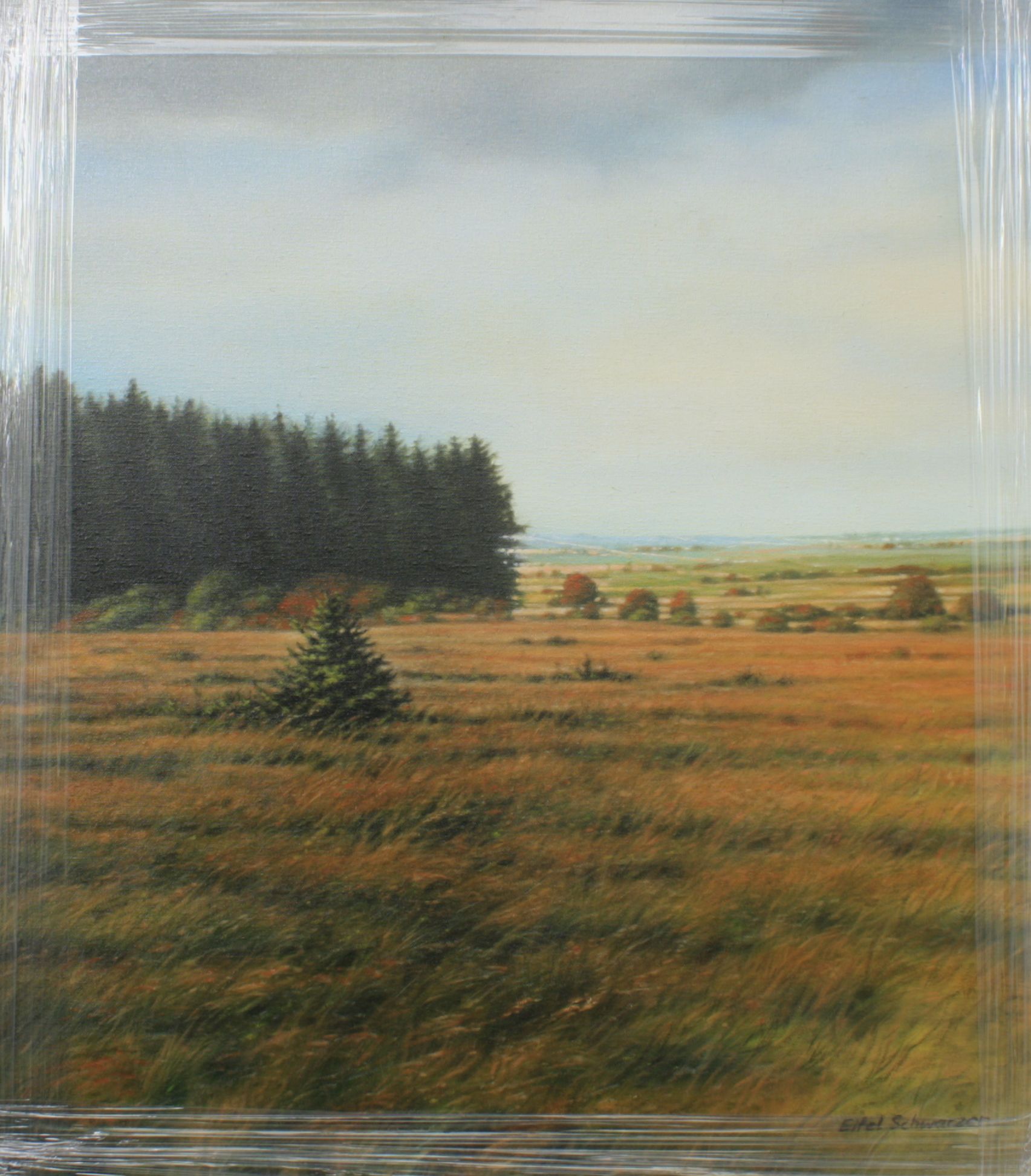 SHOP_199 Landschaft von Eitel Joachim Schwarzer