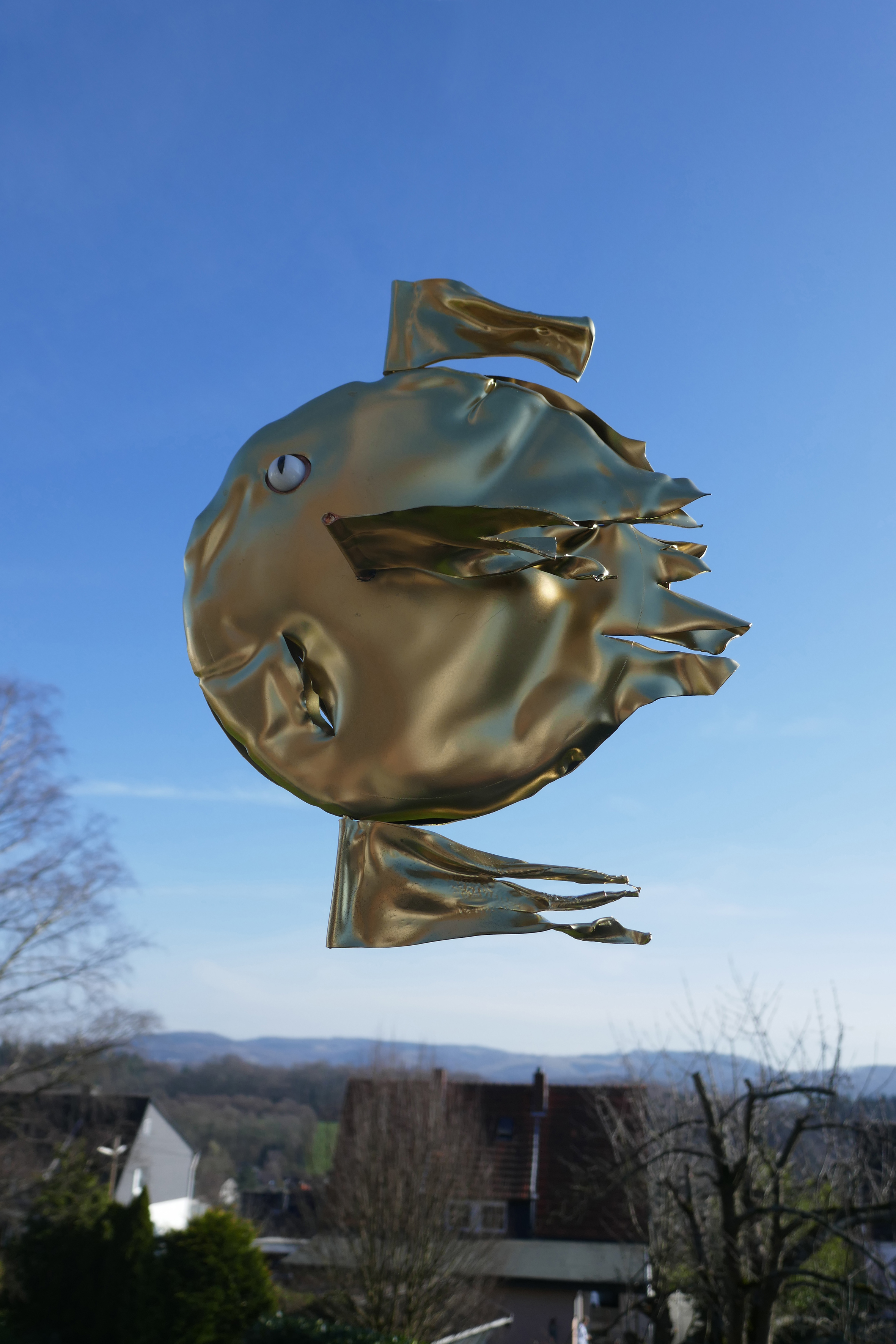 Mondfisch von Frank Haase