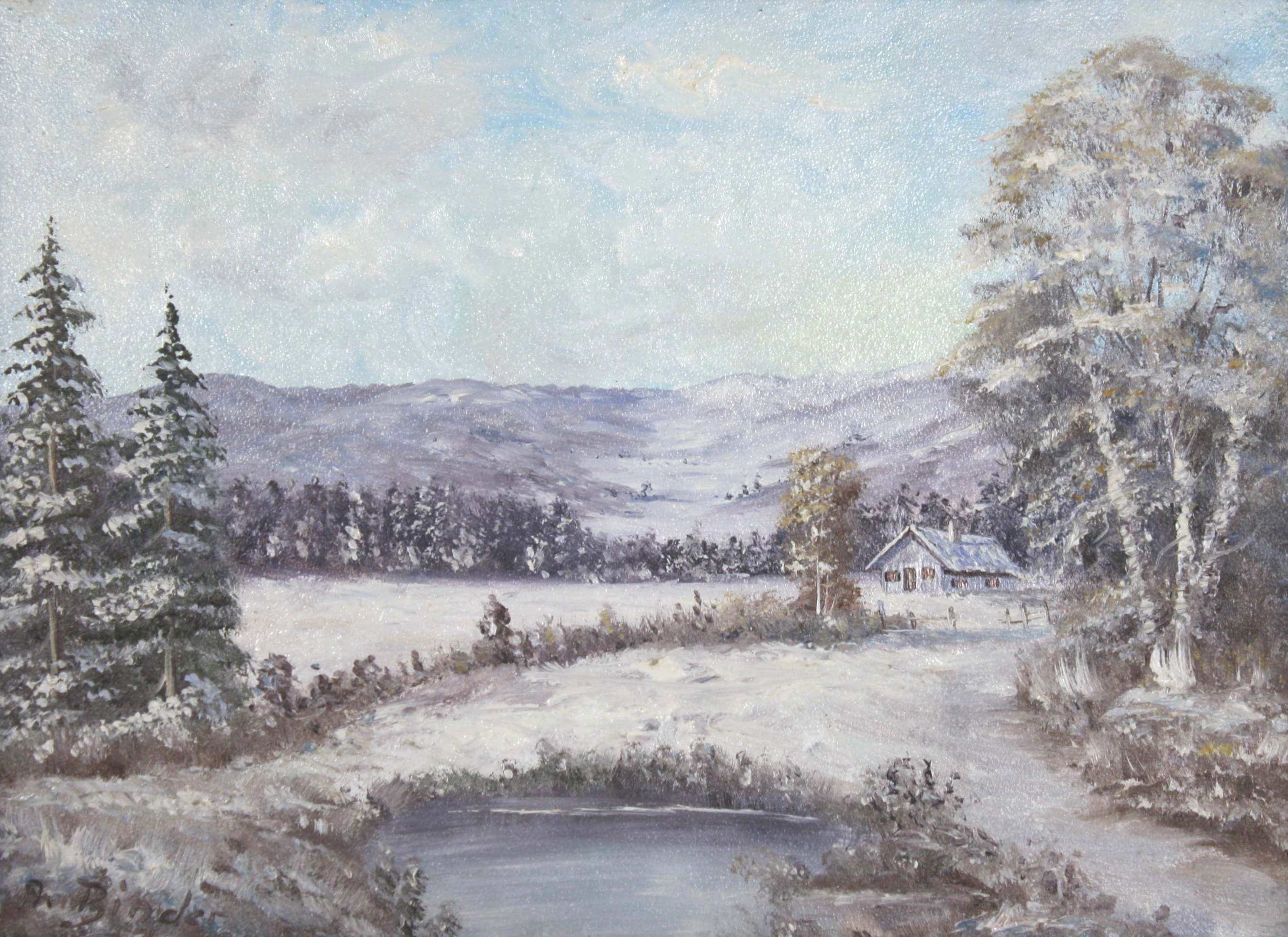 1047_0594a7f5f02af1 Winterlandschaft