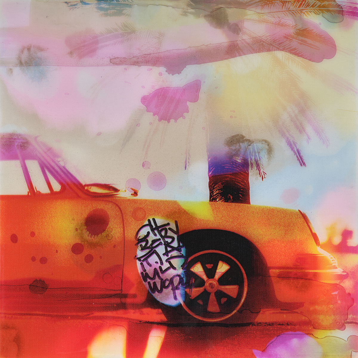 Wild world von Jörg Döring