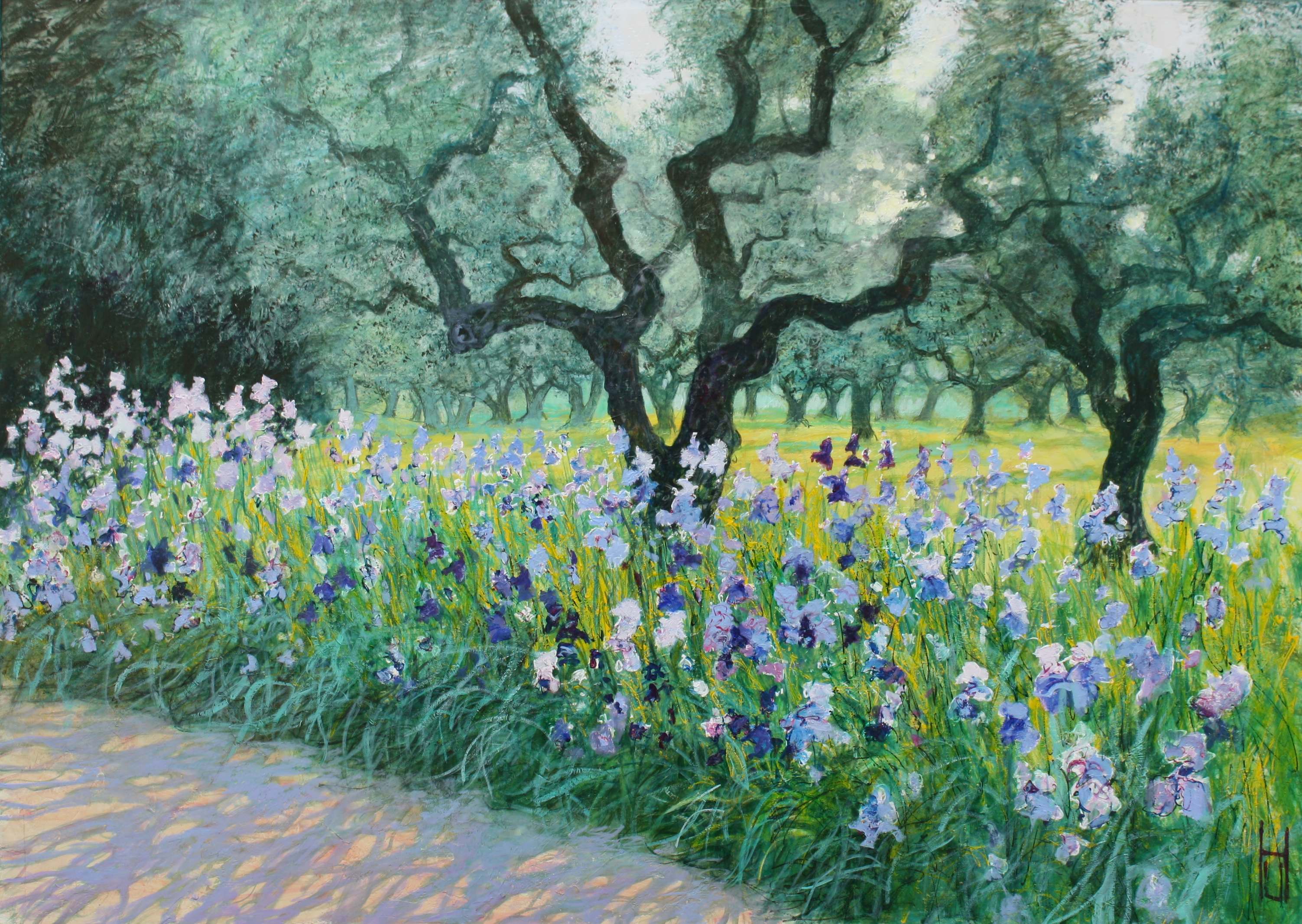 Iris unter Olivenbäumen von Uwe Herbst