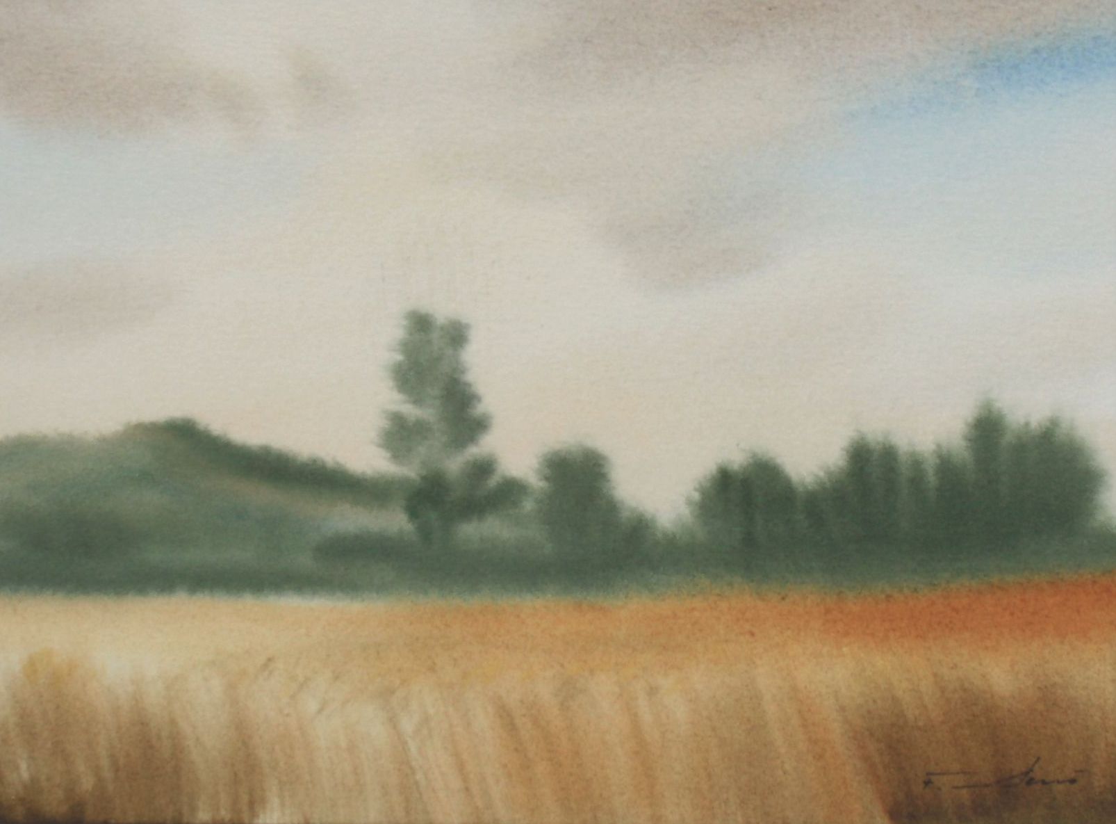 Art-Nr-867_02 Kornfeld