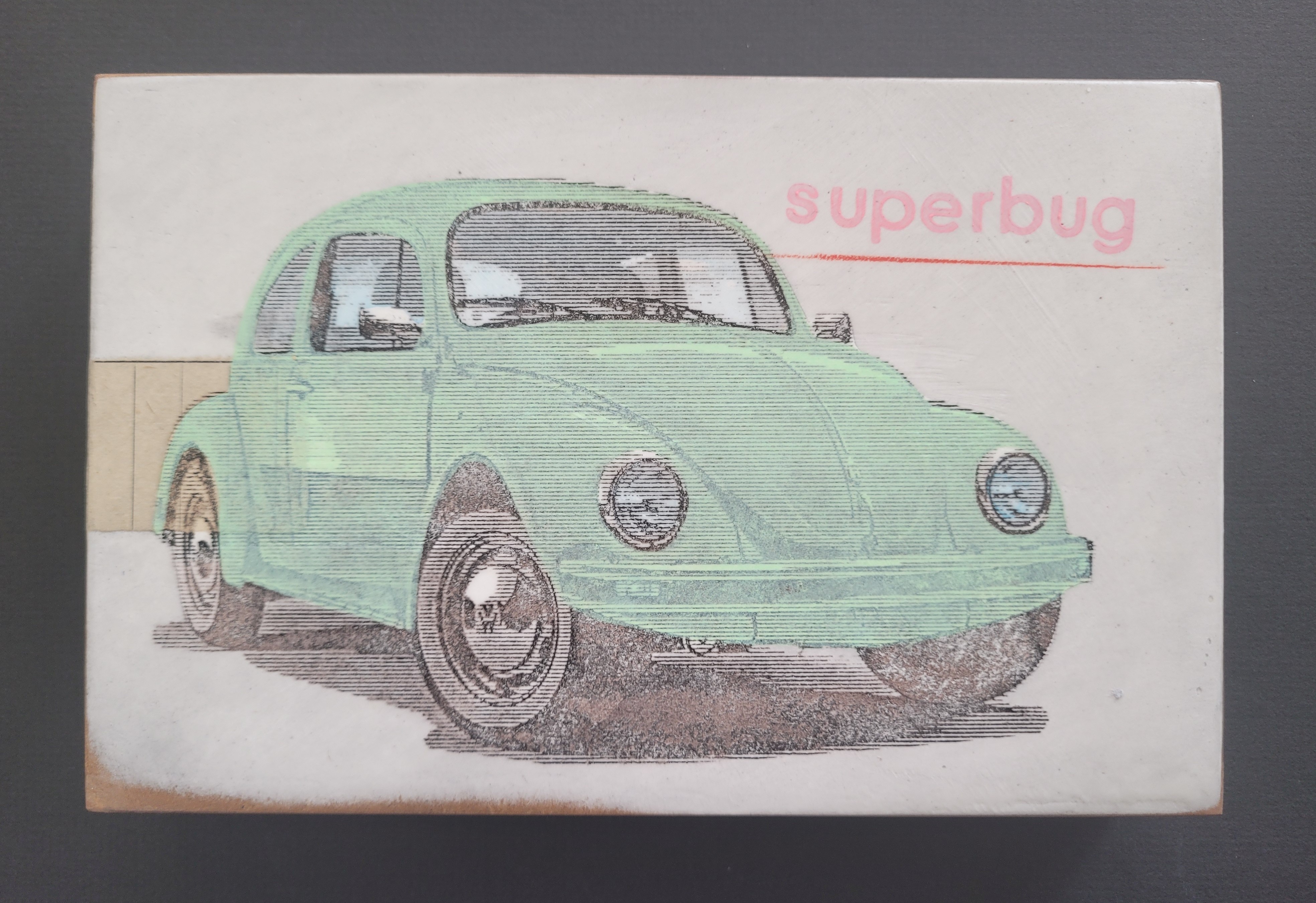 "Superbug" von Jan M. Petersen