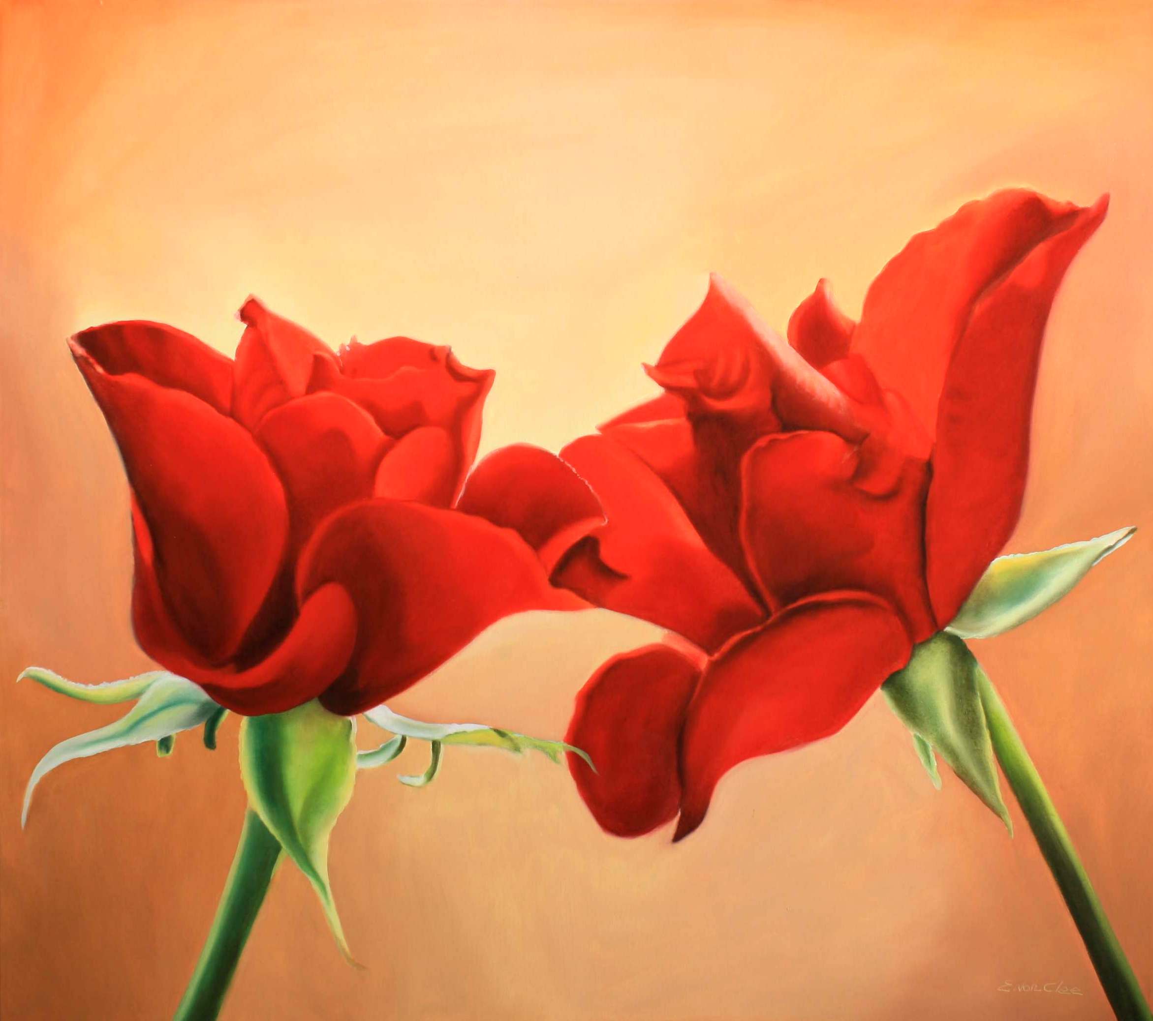 Zwei Rosen Blüten