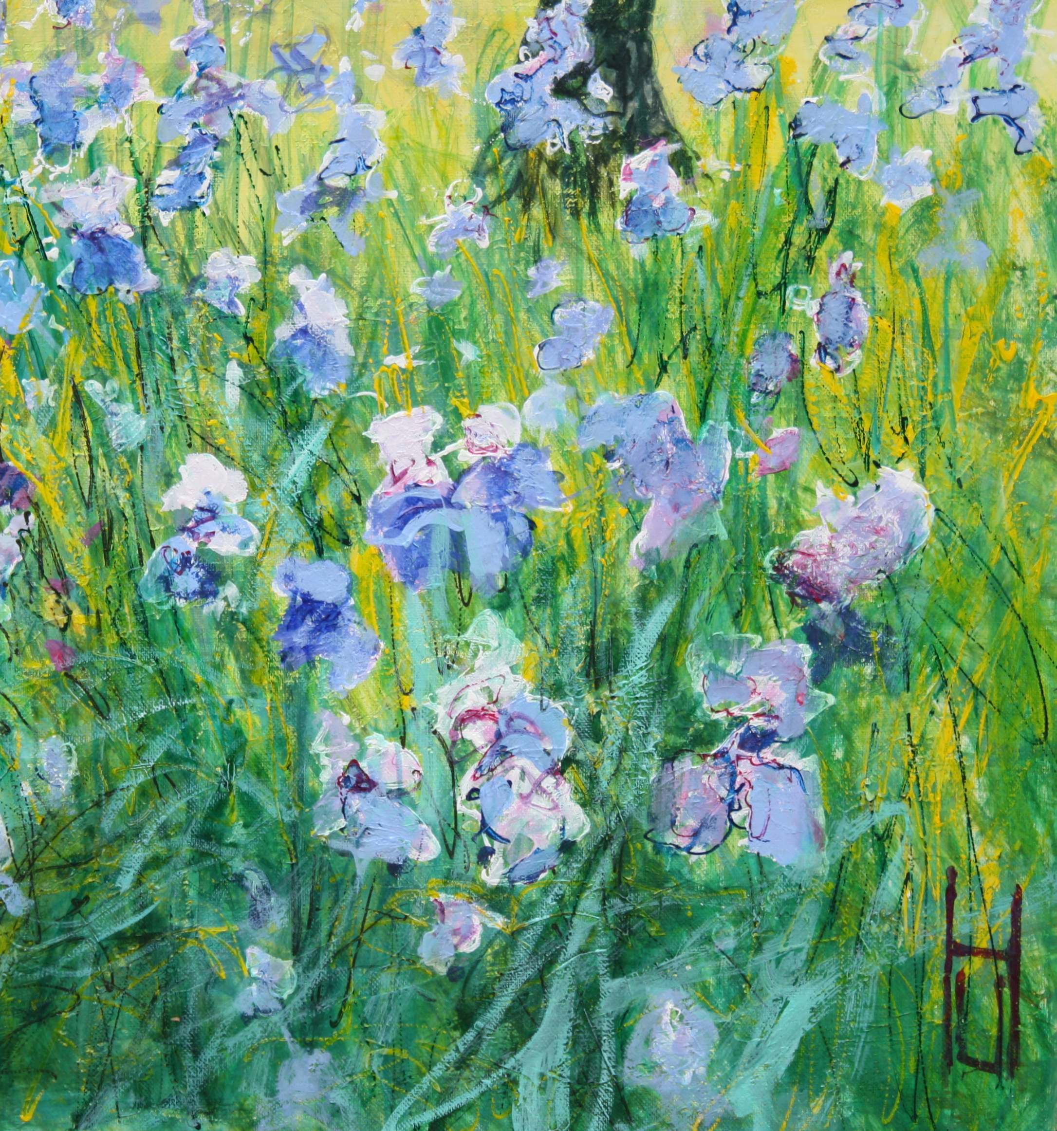 Iris unter Olivenbäumen