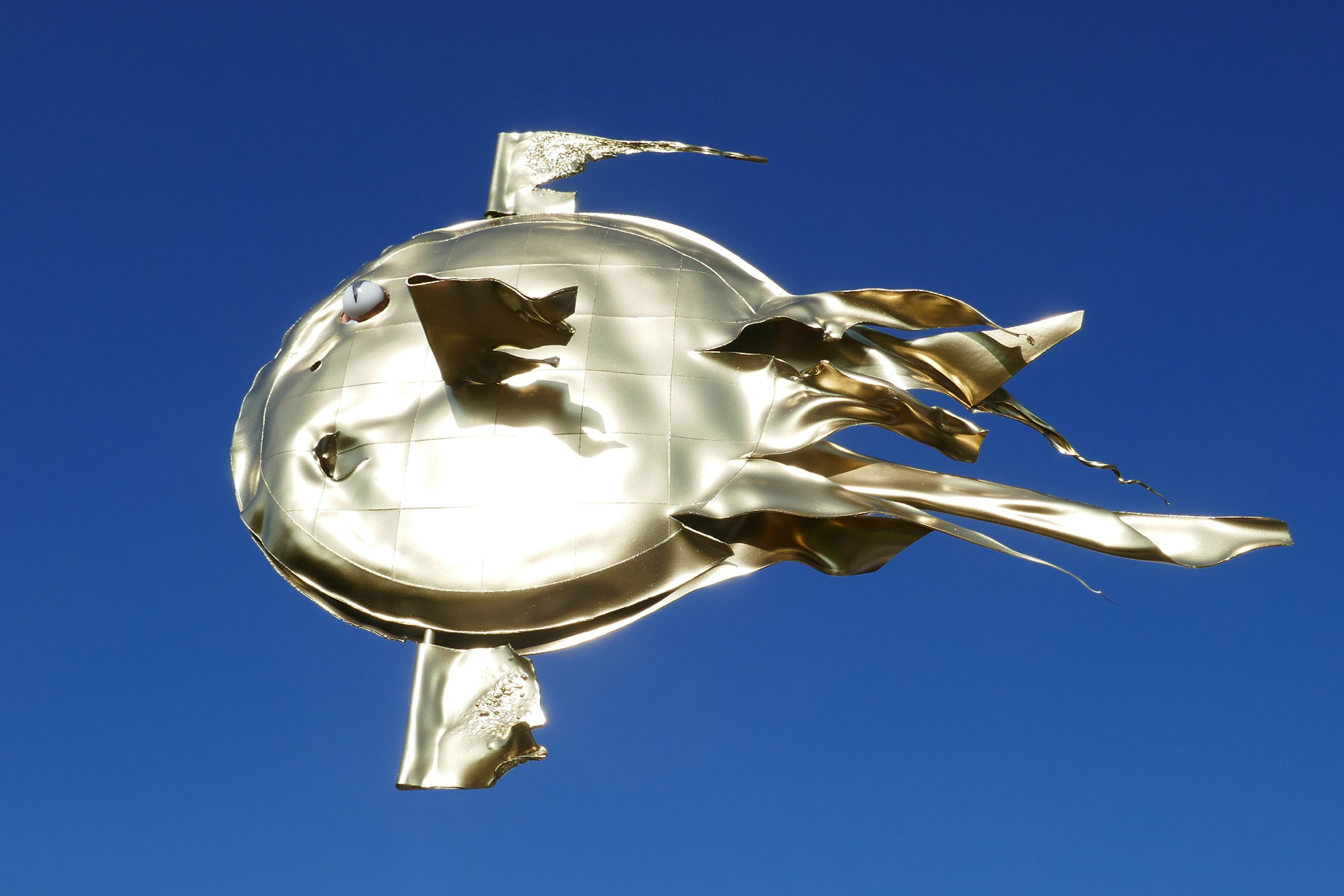 Mondfisch II von Frank Haase 