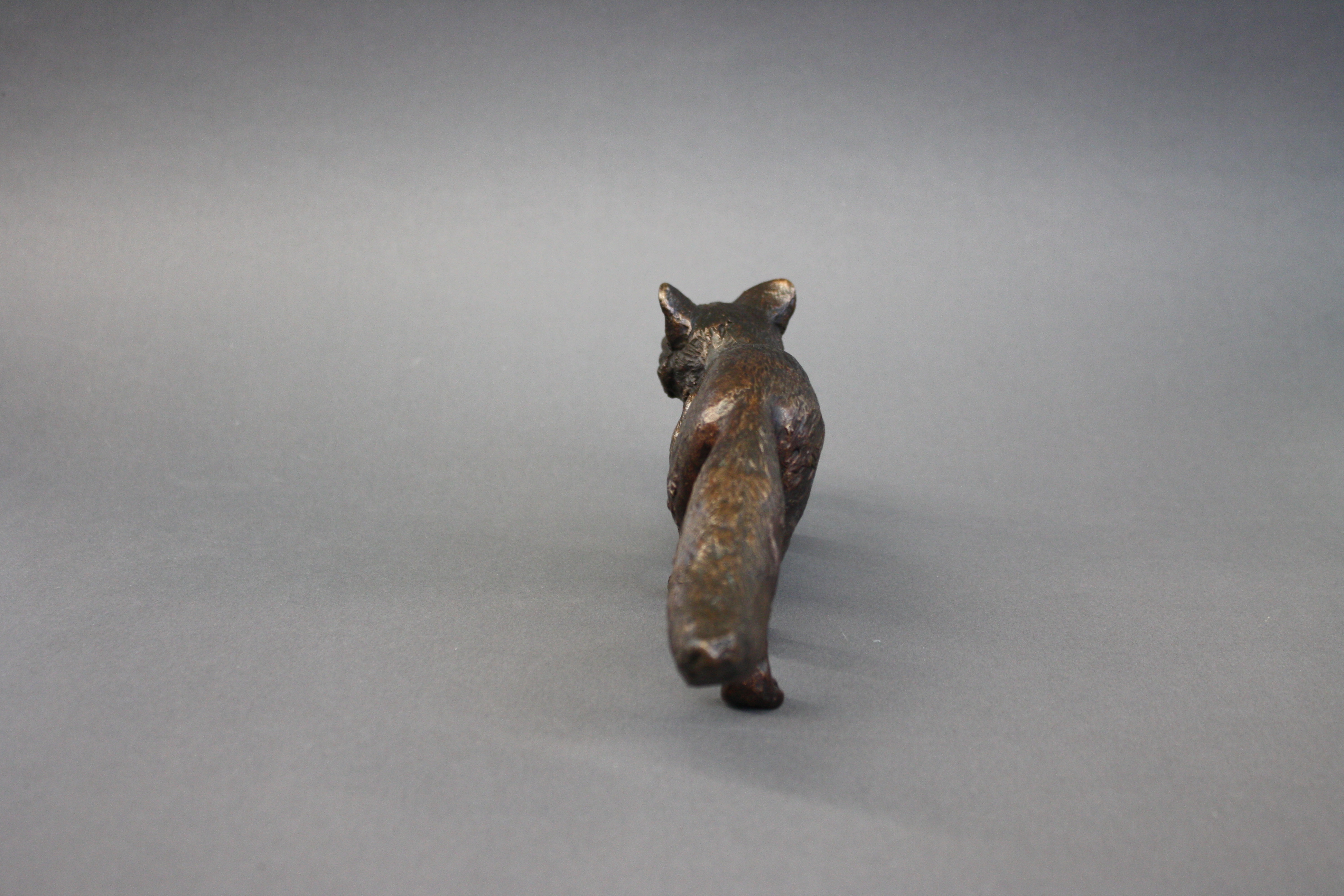 Schleichender-Fuchs_04