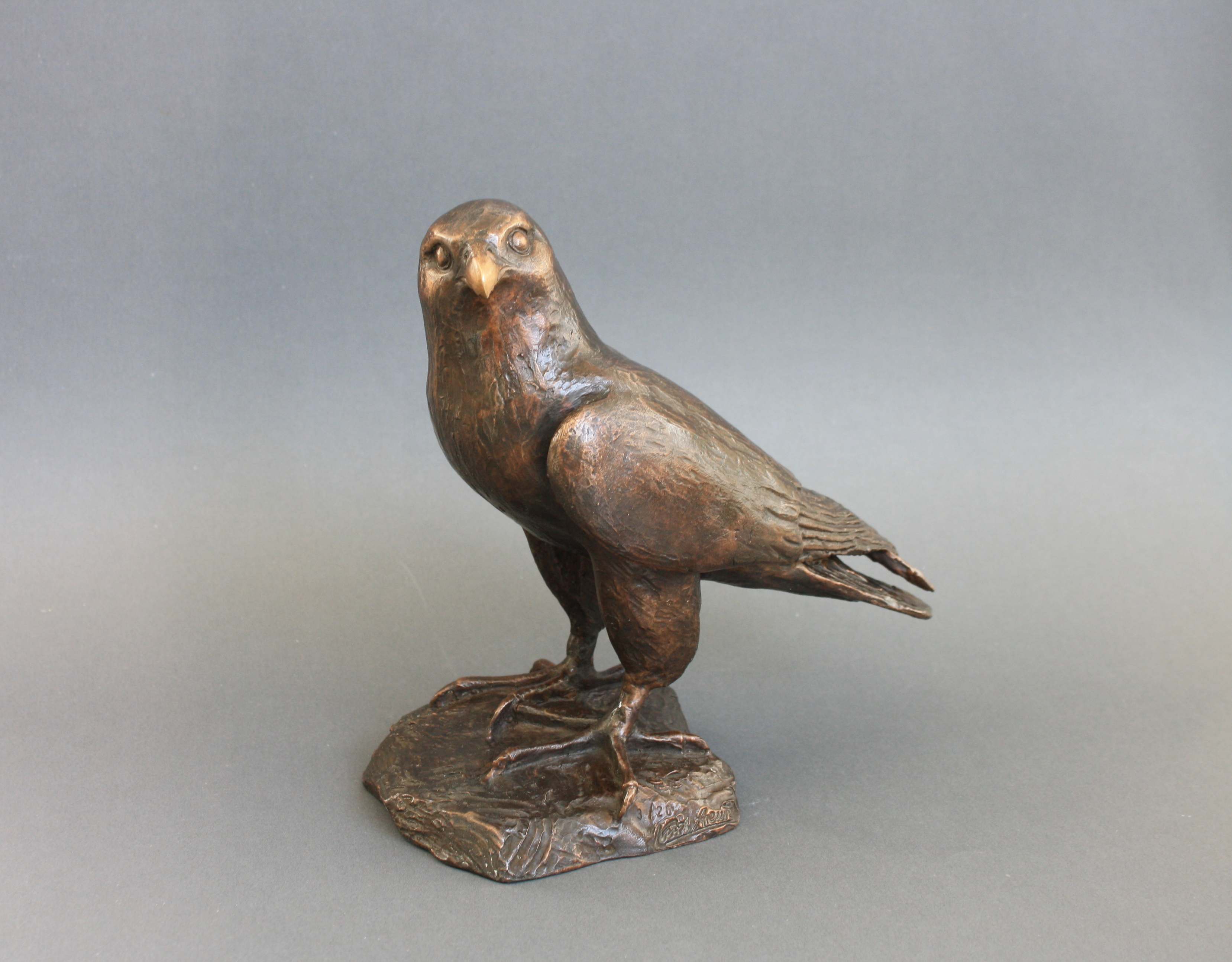 Falke-ausgearbeitet_02 Falke